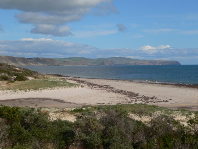 Normanville Surf Life Saving Club